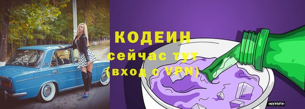ECSTASY Алзамай