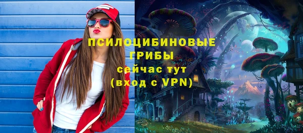 ECSTASY Алзамай