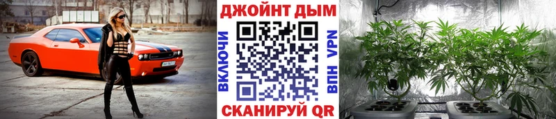 Марихуана THC 21%  Мураши 